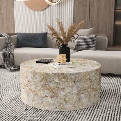 Snow Crest Mother of Pearl Coffee Table - decorstore