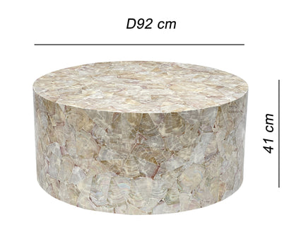 Snow Crest Mother of Pearl Coffee Table - decorstore