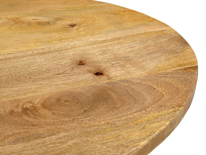 Handcrafted Mangowood Coffee Table - decorstore